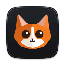 Havooch's app icon: the head of Havuç, an orange and white cat folded from paper, on a dark graphite rounded tile