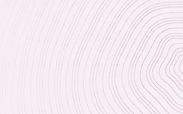 Stepped petals: plum lines on pale pink paper