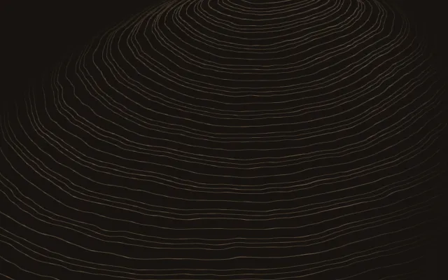 Terraces in 3D: amber lines stepping up a hill